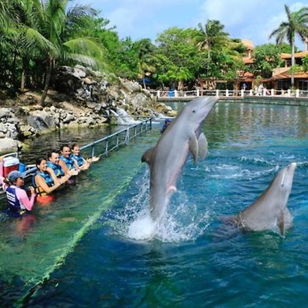 Increible Estudio En Puerto Aventuras, Condominio Con Alberca # 201 Экстерьер фото